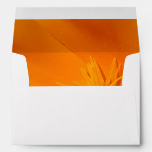 California Poppy Envelope