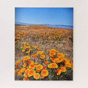 California Poppy Fields - Flowers - 16x20 - 520 pc Jigsaw Puzzle