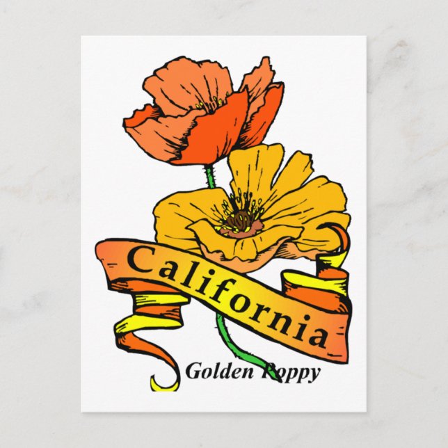 California Poppy Postcard (Front)