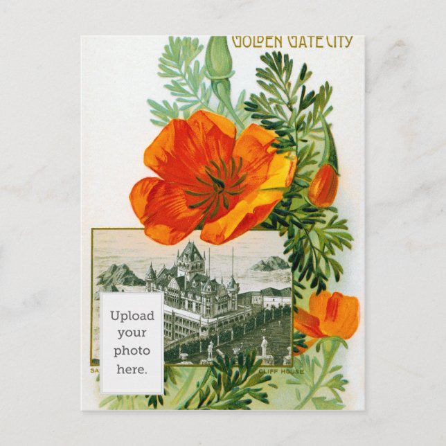 California Poppy Postcard (Front)