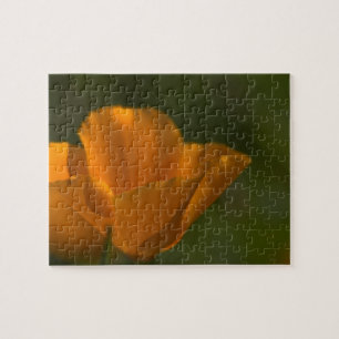 California Poppy Puzzle