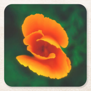 California Poppy Square Paper Coaster