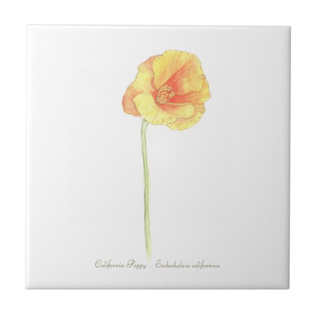 California Poppy  Stone Coaster (Front)