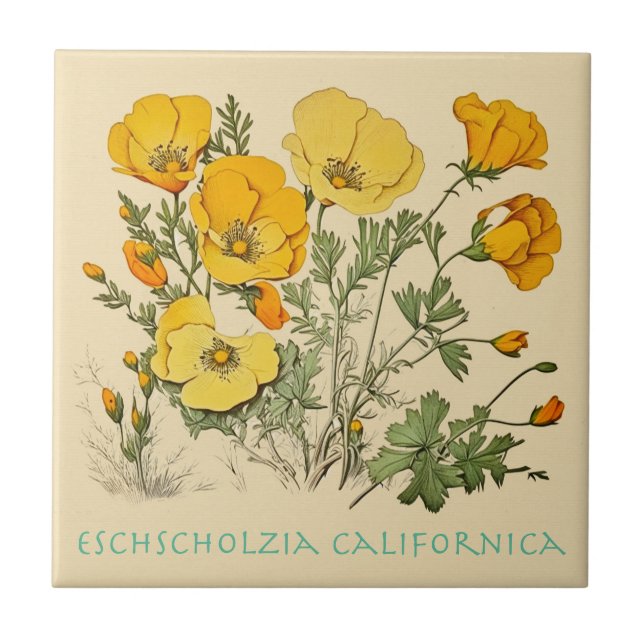 California Poppy Tile (Front)