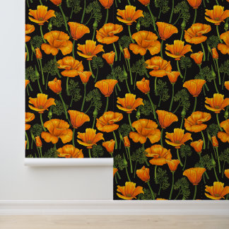California poppy wallpaper