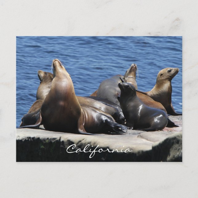 California Postcard (Front)