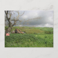 California Postcard - Gilroy, California