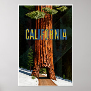 California Poster