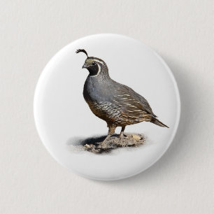 CALIFORNIA QUAIL 6 CM ROUND BADGE