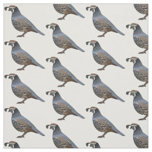 California quail bird cartoon illustration fabric