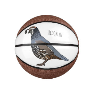 California quail bird cartoon illustration mini basketball