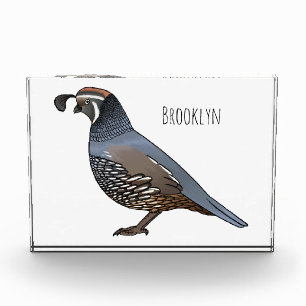 California quail bird cartoon illustration photo block