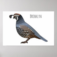 California quail bird cartoon illustration 