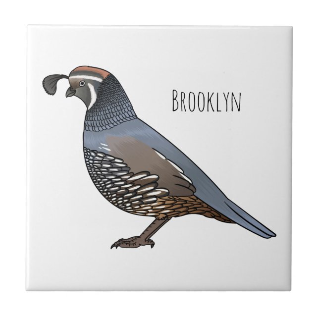 California quail bird cartoon illustration  tile (Front)