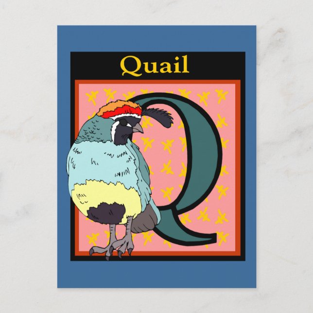 California Quail Bird Postcard (Front)