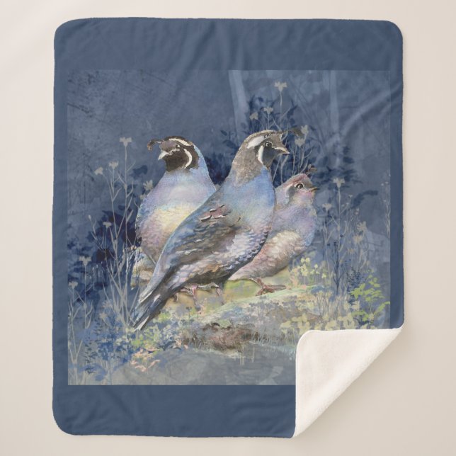 California Quail Bird Wildlife Nature Art Sherpa Blanket (Front)