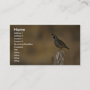 California quail business card