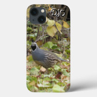 California Quail Case-Mate iPhone Case