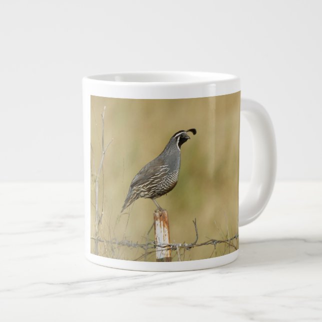 California Quail Large Coffee Mug (Front Right)