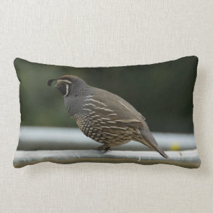 California Quail Lumbar Cushion
