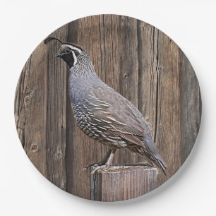 CALIFORNIA QUAIL ON BARNBOARD PAPER PLATE