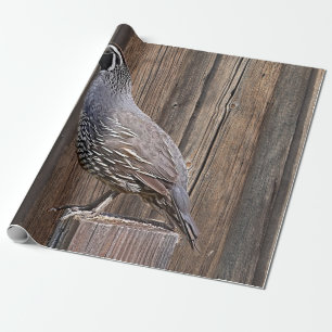CALIFORNIA QUAIL ON BARNBOARD WRAPPING PAPER