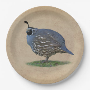 CALIFORNIA QUAIL PAPER PLATE