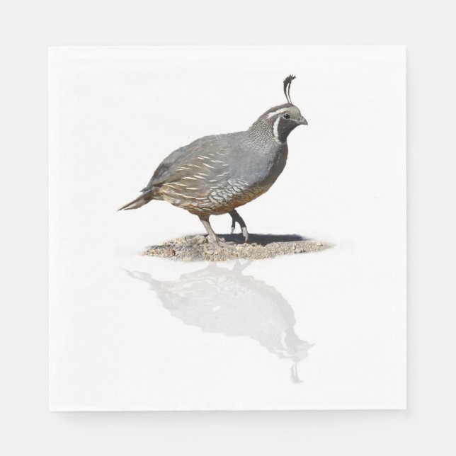 CALIFORNIA QUAIL REFLECTED NAPKIN (Front)