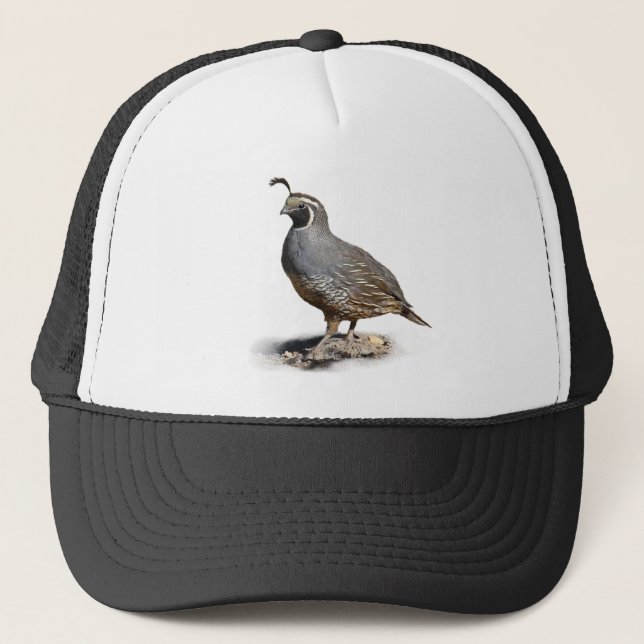 CALIFORNIA QUAIL TRUCKER HAT (Front)