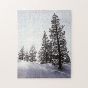 California, Rancho Cuyamaca State Park Jigsaw Puzzle