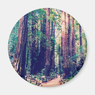 California Redwoods Magnet