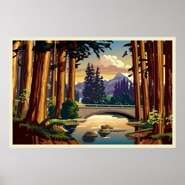 California Redwoods Poster (Front)