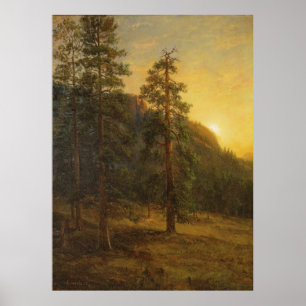 California Redwoods Poster