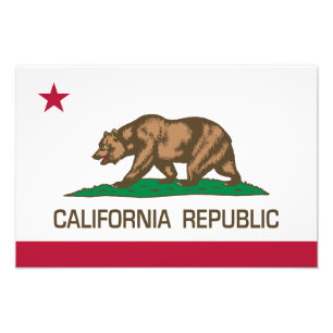 California Republic (State Flag) Photo Print