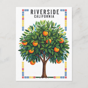 California Riverside Orange Tree Postcard