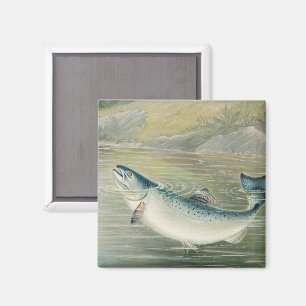 California Salmon by S.A. Kilbourne, Vintage Fish Magnet
