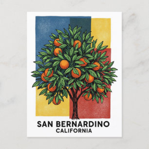 California San Bernardino Orange Tree Postcard