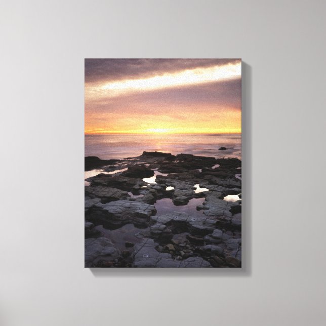 California, San Diego, Sunset Cliffs, Sunset 6 Canvas Print (Front)