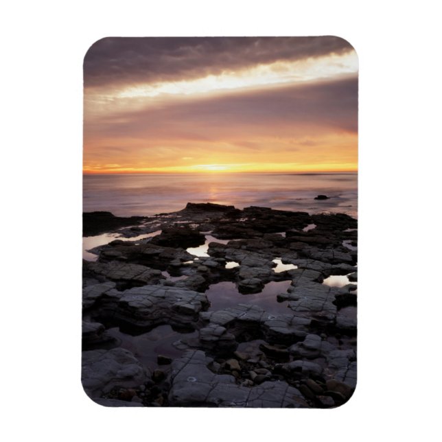 California, San Diego, Sunset Cliffs, Sunset 6 Magnet (Vertical)