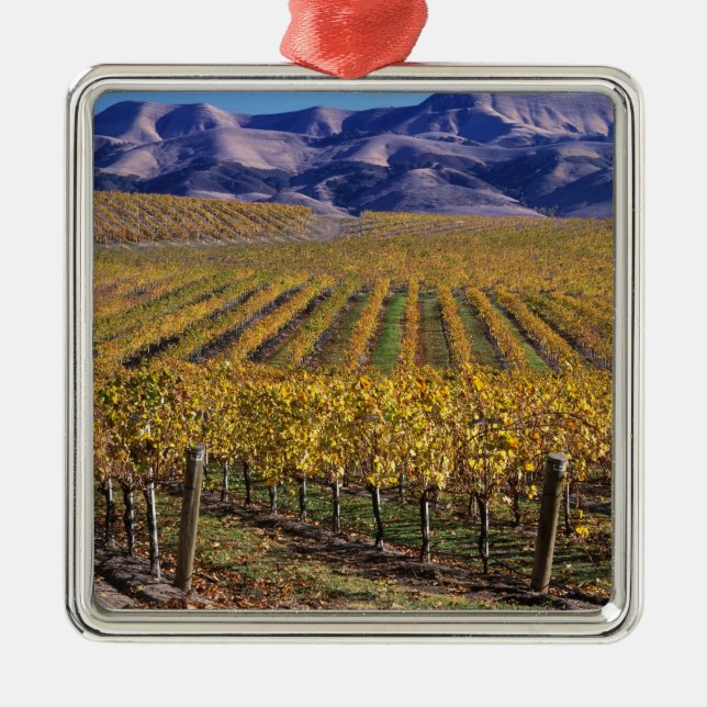 California, San Luis Obispo County, Edna Valley Metal Tree Decoration (Front)