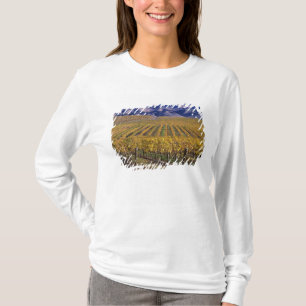 California, San Luis Obispo County, Edna Valley T-Shirt