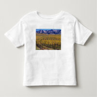California, San Luis Obispo County, Edna Valley