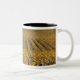 California, San Luis Obispo County, Edna Valley Two-Tone Coffee Mug