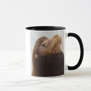 California Sea Lion Mug