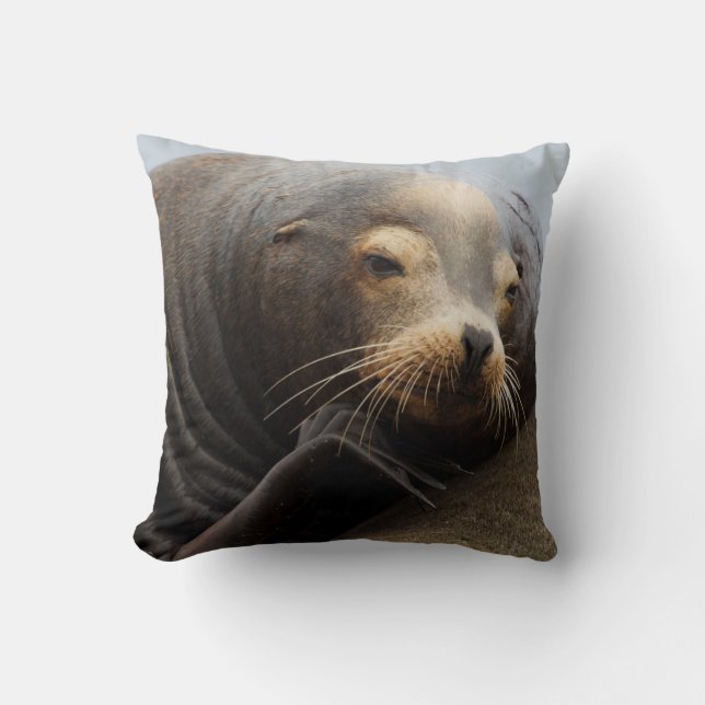 California Sea Lion Resting Cushion (Front)
