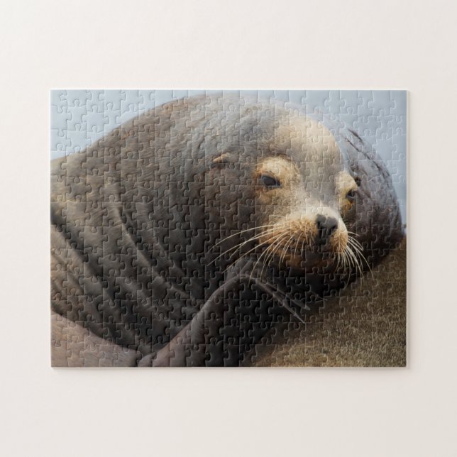 California Sea Lion Resting Jigsaw Puzzle (Horizontal)