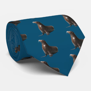 California sea lion tie
