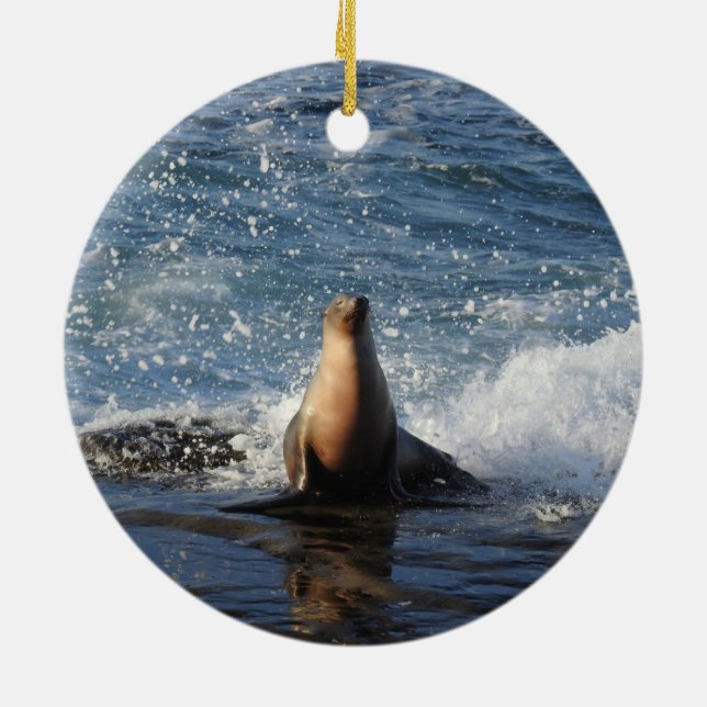 California sea lion, wildlife, ceramic ornament (Back)