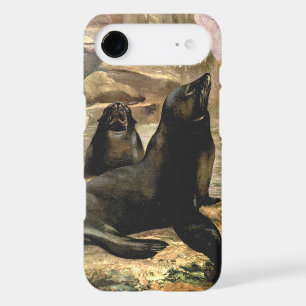 California Sea Lions by CE Swan, Vintage Animals