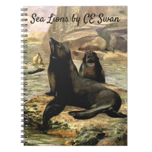 California Sea Lions by CE Swan, Vintage Animals Notebook